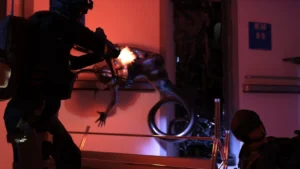 Etlina’s Principle